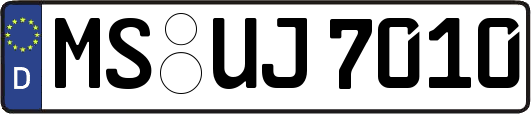 MS-UJ7010