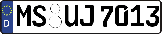 MS-UJ7013