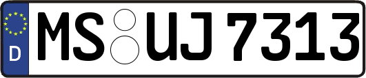 MS-UJ7313