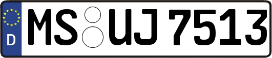 MS-UJ7513