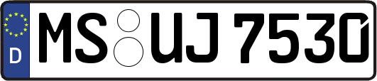 MS-UJ7530