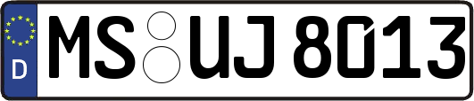 MS-UJ8013