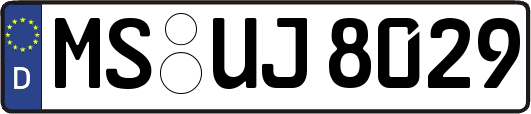 MS-UJ8029