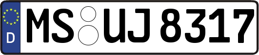 MS-UJ8317