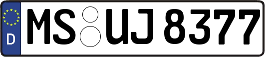 MS-UJ8377