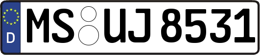 MS-UJ8531