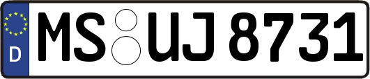 MS-UJ8731