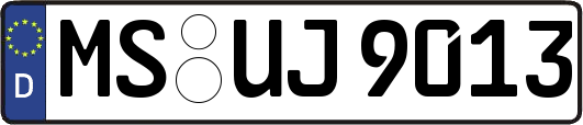 MS-UJ9013