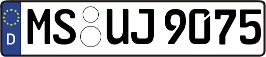 MS-UJ9075