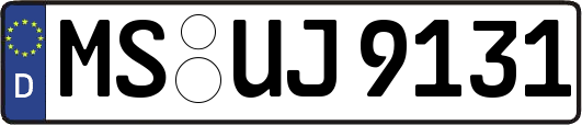 MS-UJ9131