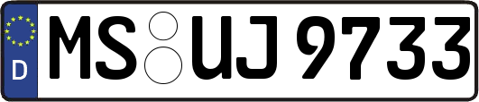 MS-UJ9733