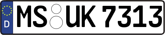 MS-UK7313