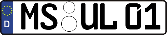 MS-UL01