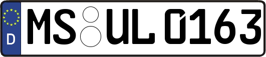 MS-UL0163