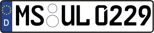 MS-UL0229