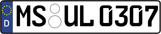 MS-UL0307