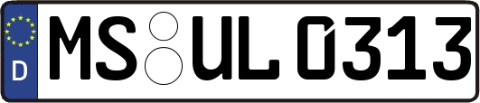 MS-UL0313