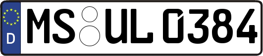 MS-UL0384