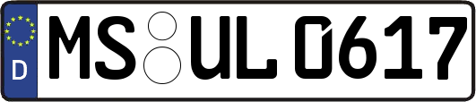 MS-UL0617