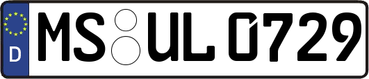 MS-UL0729