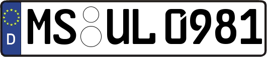 MS-UL0981