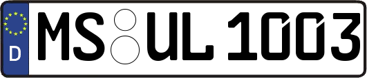 MS-UL1003