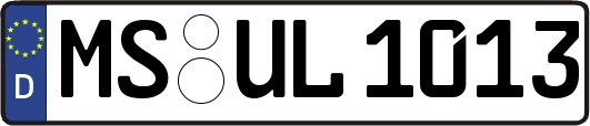 MS-UL1013