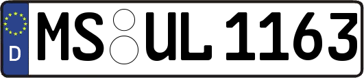 MS-UL1163