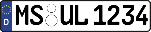 MS-UL1234