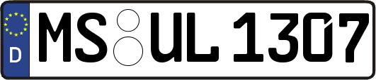 MS-UL1307