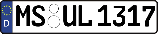 MS-UL1317