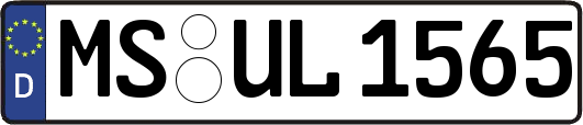 MS-UL1565