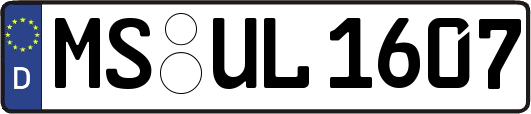 MS-UL1607