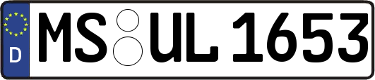 MS-UL1653
