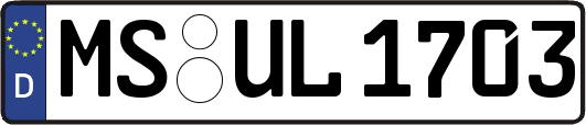 MS-UL1703