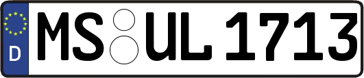 MS-UL1713