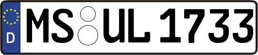 MS-UL1733