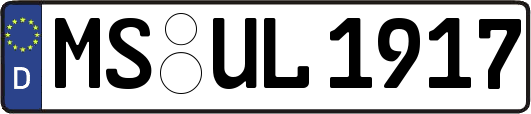 MS-UL1917