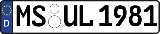 MS-UL1981