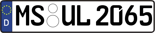 MS-UL2065