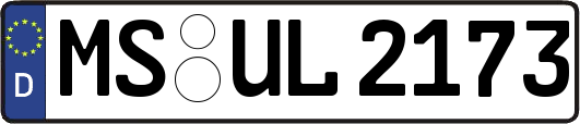 MS-UL2173