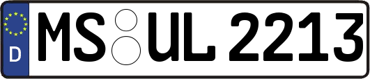 MS-UL2213