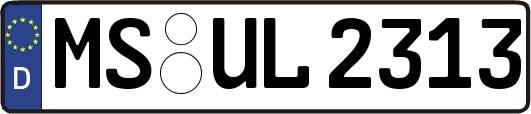 MS-UL2313