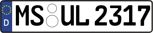 MS-UL2317