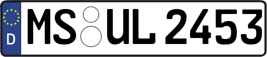 MS-UL2453