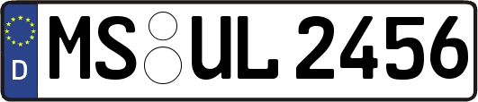 MS-UL2456