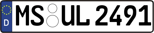 MS-UL2491