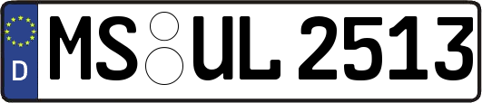 MS-UL2513