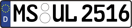 MS-UL2516