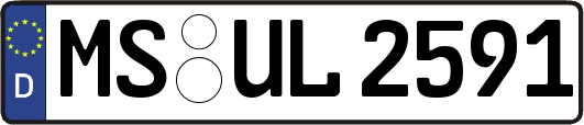 MS-UL2591